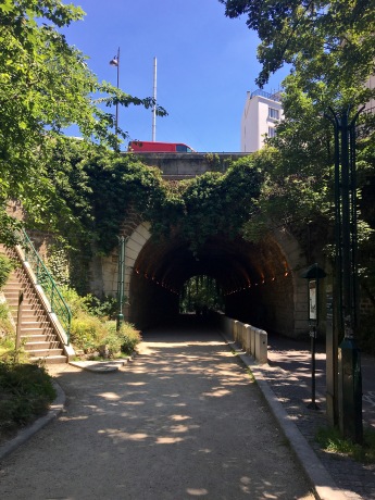tunnel and vegetation